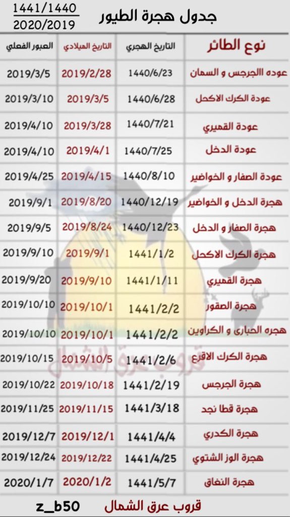 170 1 جدول مواعيد هجرة الطيور الصحيح محمد علي ضاوي الحميداني